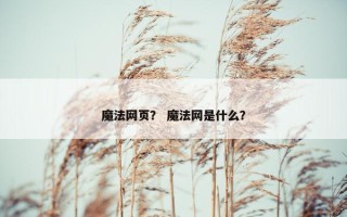 魔法网页？ 魔法网是什么？