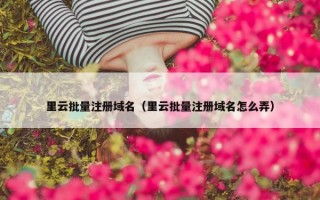 里云批量注册域名（里云批量注册域名怎么弄）