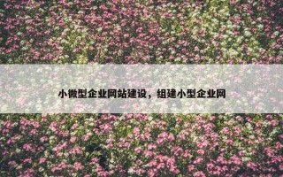 小微型企业网站建设，组建小型企业网