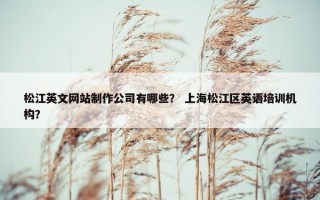 松江英文网站制作公司有哪些？ 上海松江区英语培训机构？