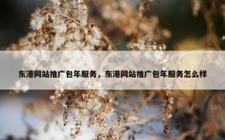 东港网站推广包年服务，东港网站推广包年服务怎么样
