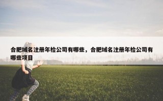 合肥域名注册年检公司有哪些，合肥域名注册年检公司有哪些项目