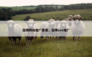 淄博网站推广靠谱，淄博seo推广