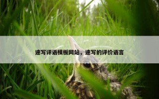 速写评语模板网站，速写的评价语言