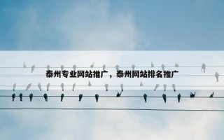 泰州专业网站推广，泰州网站排名推广