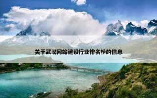 关于武汉网站建设行业排名榜的信息