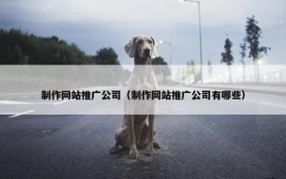 制作网站推广公司（制作网站推广公司有哪些）
