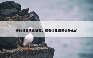 桂林抖音优化推荐，抖音优化师是做什么的
