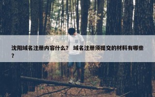 沈阳域名注册内容什么？ 域名注册须提交的材料有哪些？