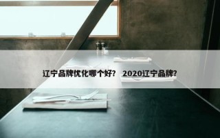 辽宁品牌优化哪个好？ 2020辽宁品牌？