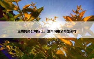 温州网络公司招工，温州网络公司怎么样