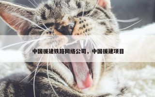 中国援建铁路网络公司，中国援建项目