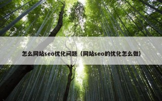 怎么网站seo优化问题（网站seo的优化怎么做）