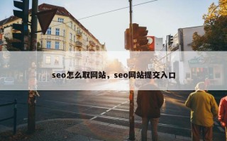 seo怎么取网站，seo网站提交入口