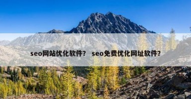 seo网站优化软件？ seo免费优化网址软件？