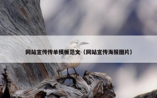 网站宣传传单模板范文（网站宣传海报图片）