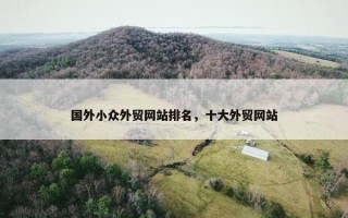 国外小众外贸网站排名，十大外贸网站