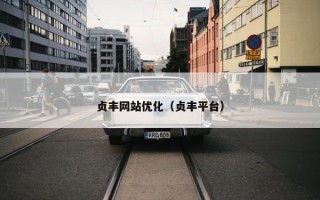 贞丰网站优化（贞丰平台）