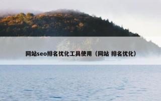 网站seo排名优化工具使用（网站 排名优化）