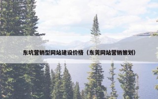 东坑营销型网站建设价格（东莞网站营销策划）