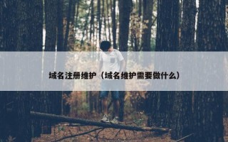 域名注册维护（域名维护需要做什么）