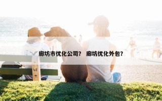 廊坊市优化公司？ 廊坊优化外包？