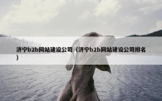 济宁b2b网站建设公司（济宁b2b网站建设公司排名）
