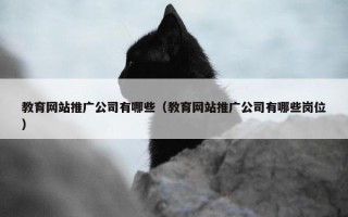 教育网站推广公司有哪些（教育网站推广公司有哪些岗位）