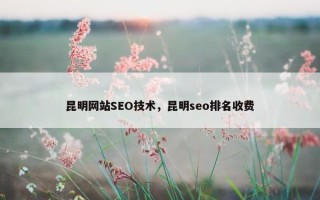 昆明网站SEO技术，昆明seo排名收费