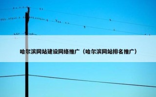 哈尔滨网站建设网络推广（哈尔滨网站排名推广）