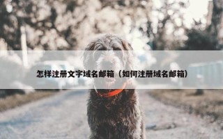 怎样注册文字域名邮箱（如何注册域名邮箱）