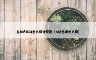 在b站学习怎么设计页面（b站选项怎么做）
