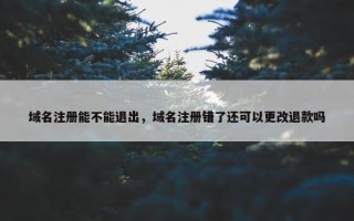域名注册能不能退出，域名注册错了还可以更改退款吗