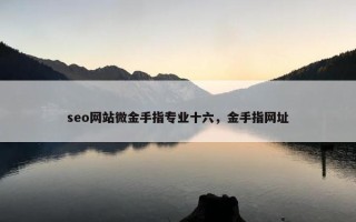 seo网站微金手指专业十六，金手指网址