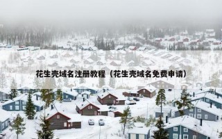 花生壳域名注册教程（花生壳域名免费申请）