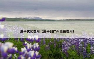 恩平优化费用（恩平到广州高速费用）