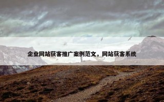 企业网站获客推广案例范文，网站获客系统