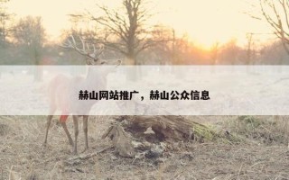赫山网站推广，赫山公众信息