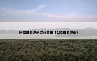 网易域名注册流程费用（163域名注册）