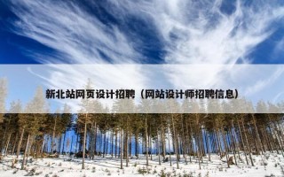 新北站网页设计招聘（网站设计师招聘信息）