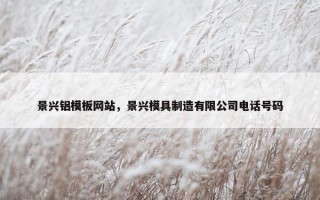 景兴铝模板网站，景兴模具制造有限公司电话号码