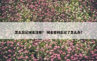 怎么忘记域名注册？ 域名密码忘记了怎么办？