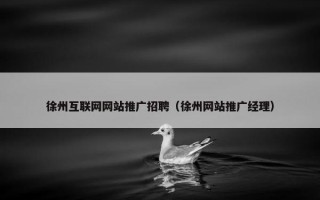 徐州互联网网站推广招聘（徐州网站推广经理）