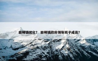 田柳镇优化？ 田柳镇政府领导班子成员？