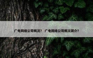 广电网络公司概况？ 广电网络公司概况简介？