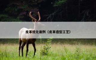 皮革优化案例（皮革造型工艺）