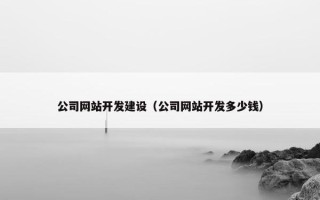公司网站开发建设（公司网站开发多少钱）