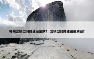 郴州营销型网站建设案例？ 营销型网站建设策划案？
