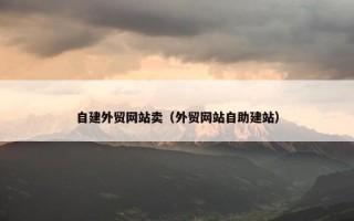自建外贸网站卖（外贸网站自助建站）