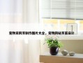 宠物家网页制作图片大全，宠物网站页面设计